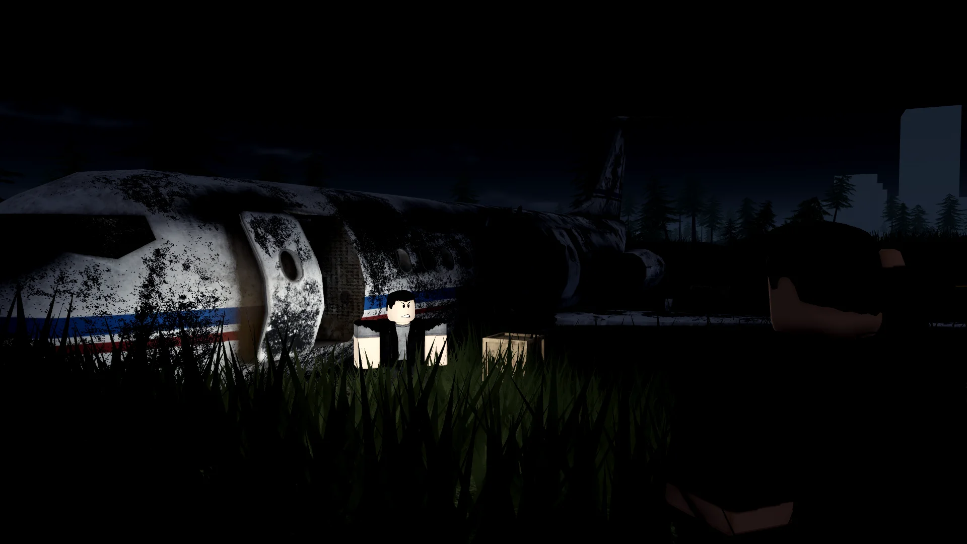 Survivors investigate an aircraft wreck at night